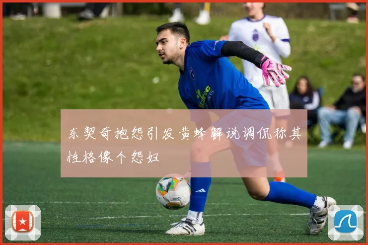东契奇抱怨引发黄蜂解说调侃称其性格像个怨妇